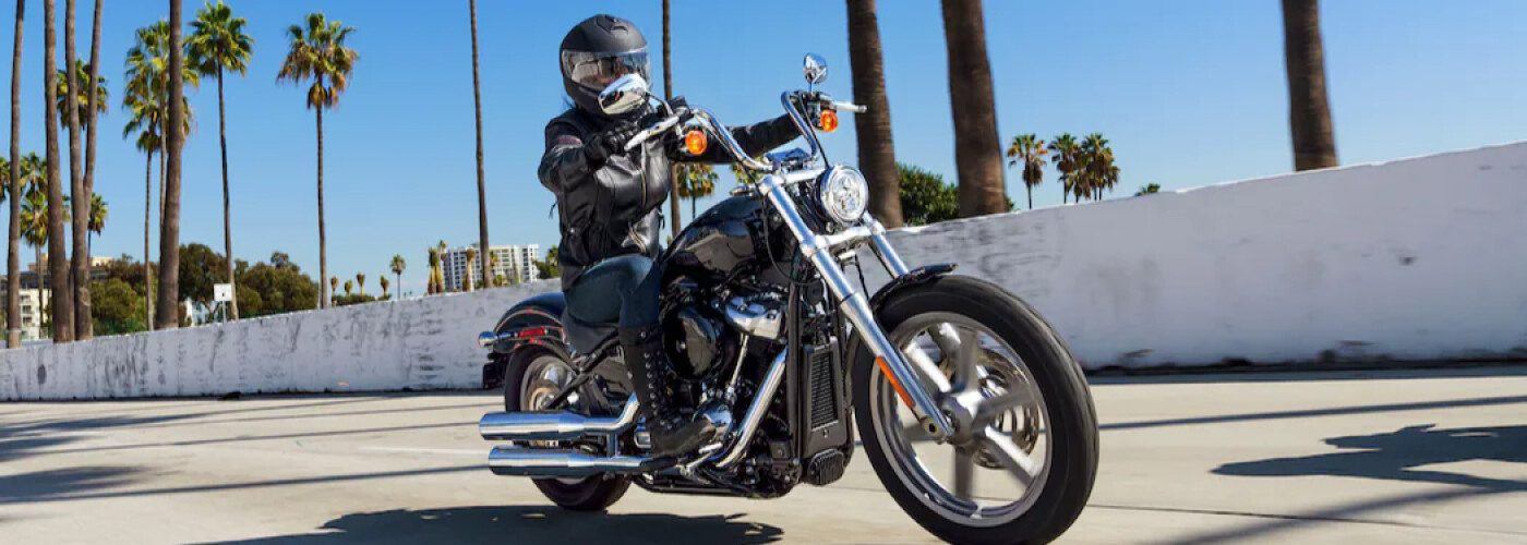 Hardtail vs. Softail Motorcycle