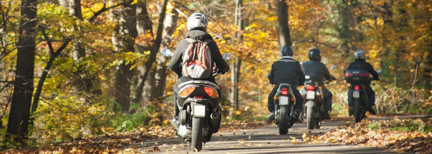 4 Motorcycles Riding through Fall Trees